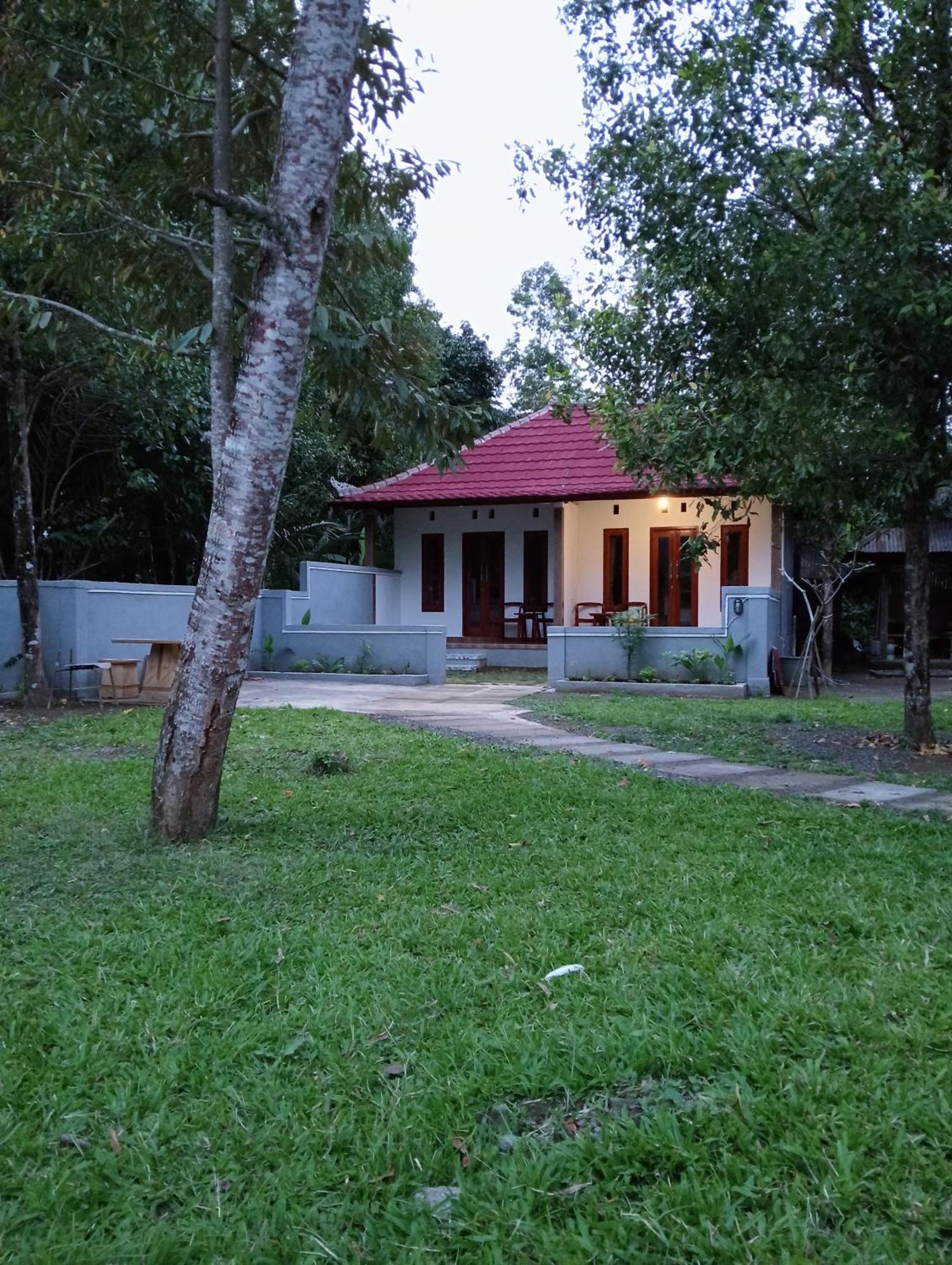 Jepun Homestay Lemukih Сінгараджа Екстер'єр фото